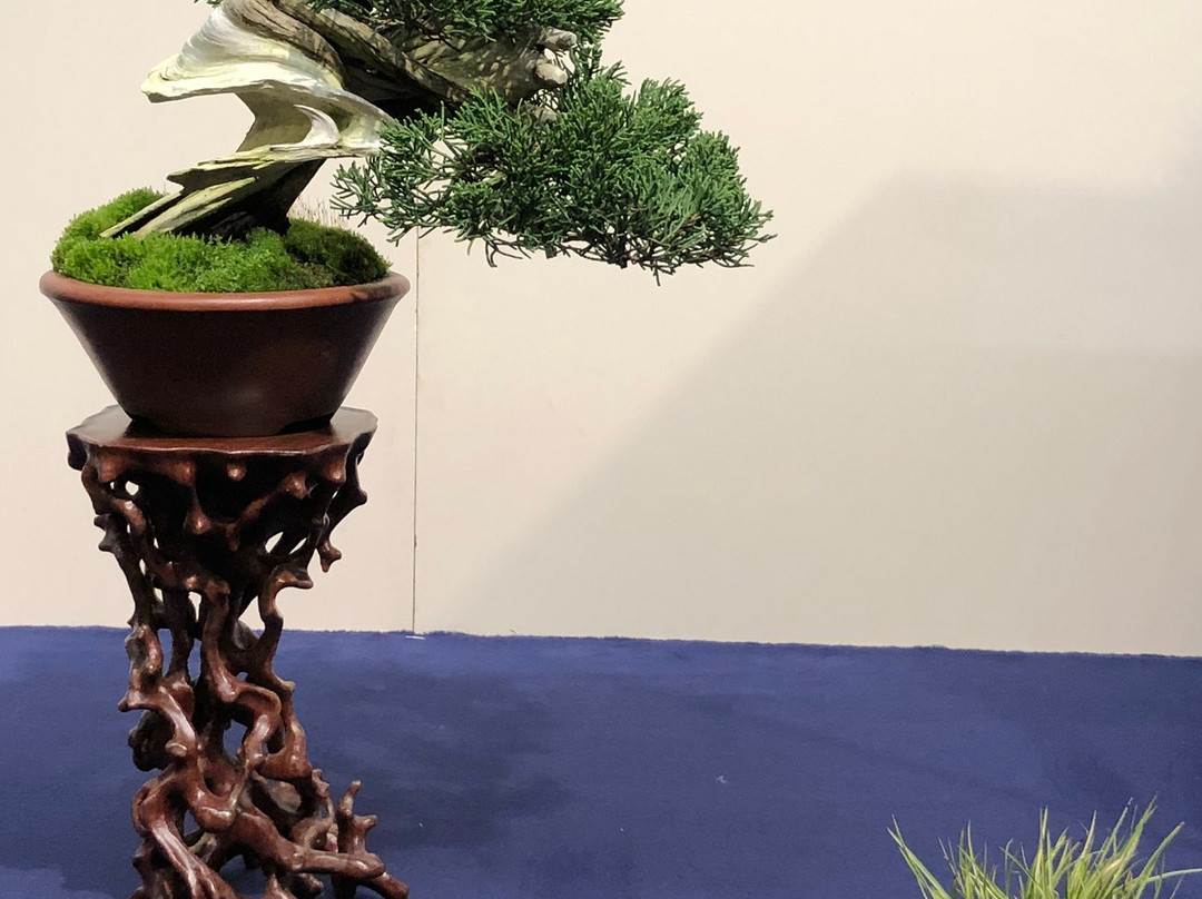 Kokufu Bonsai-Ten-Uenokoen必去景点