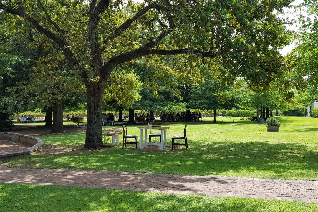 De Meye Wines-斯泰伦博斯必去景点