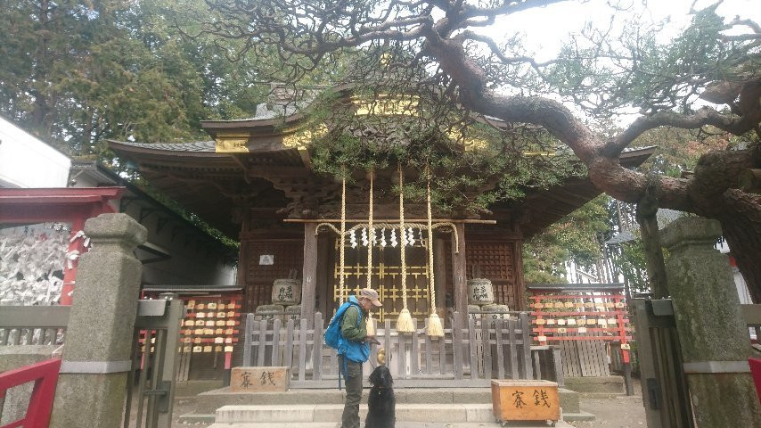 Hiyoshi Shrine景点图片
