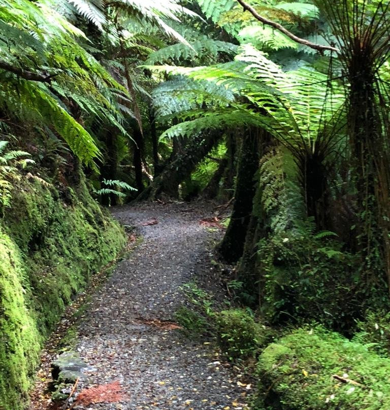 Monro Beach-Lake Moeraki必去景点