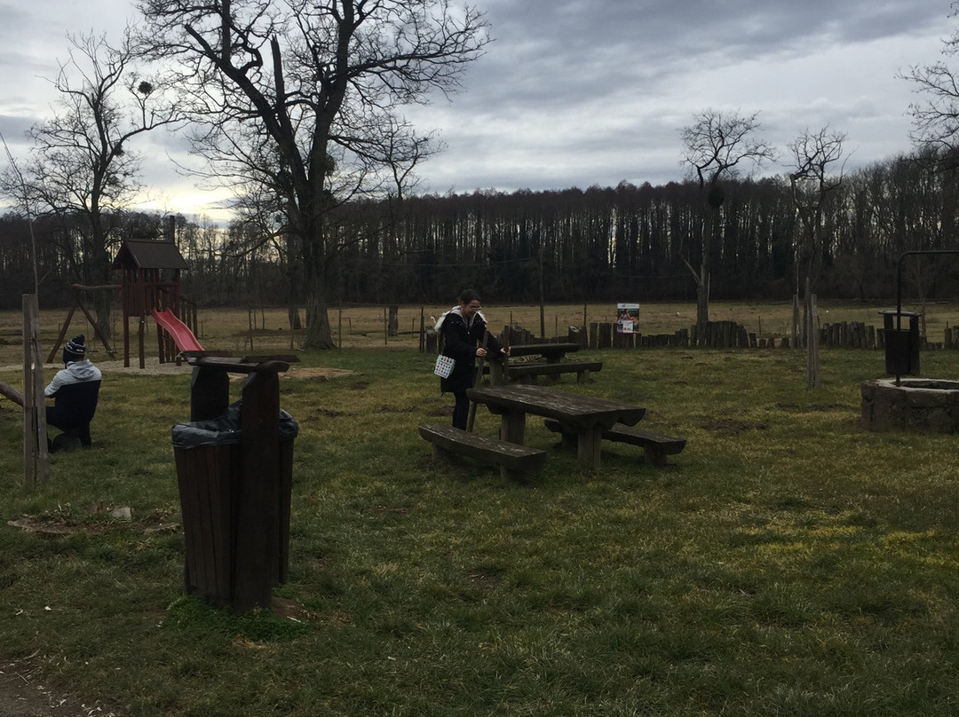 Kápolnapuszta Buffalo Reservation-Zalakomar必去景点