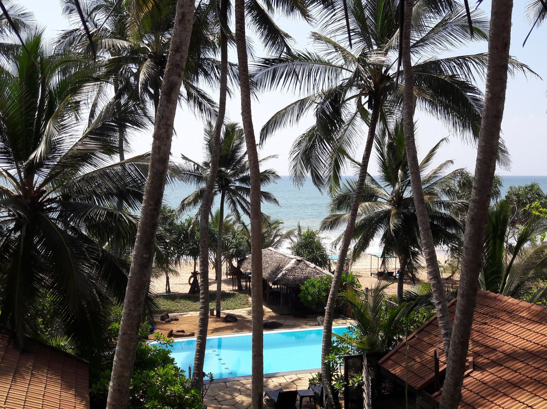 Seven Turtles Resort主图