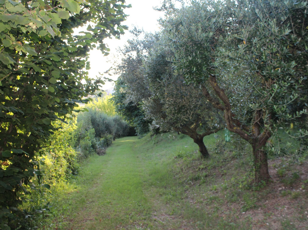 Agriturismo La Casa della Lavanda - Il Casale主图