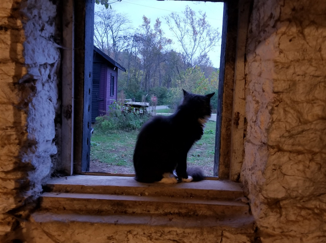 Sycamore Farms Country Inn B&B主图