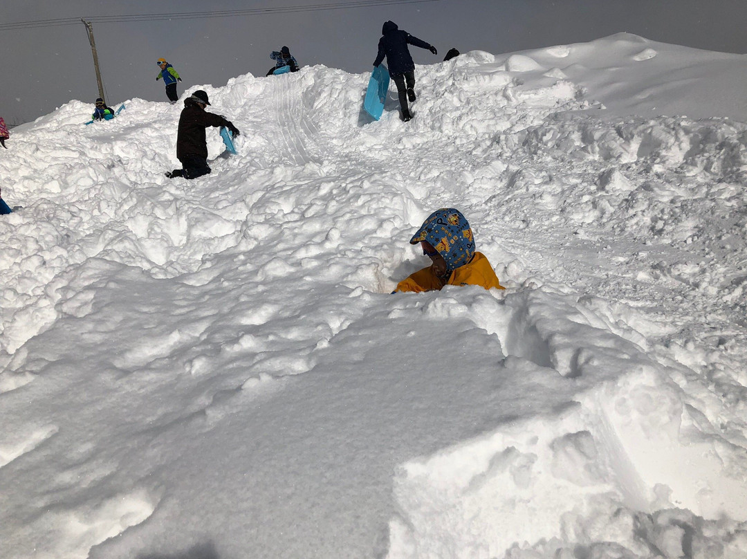 Ikenotaira Onsen Ski Resort景点图片