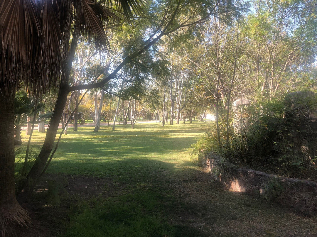 Hacienda Tovares景点图片