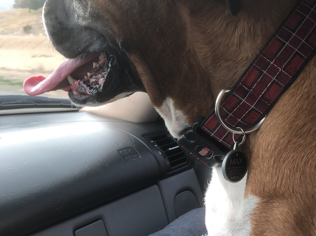 Hotel Mision Catavina主图