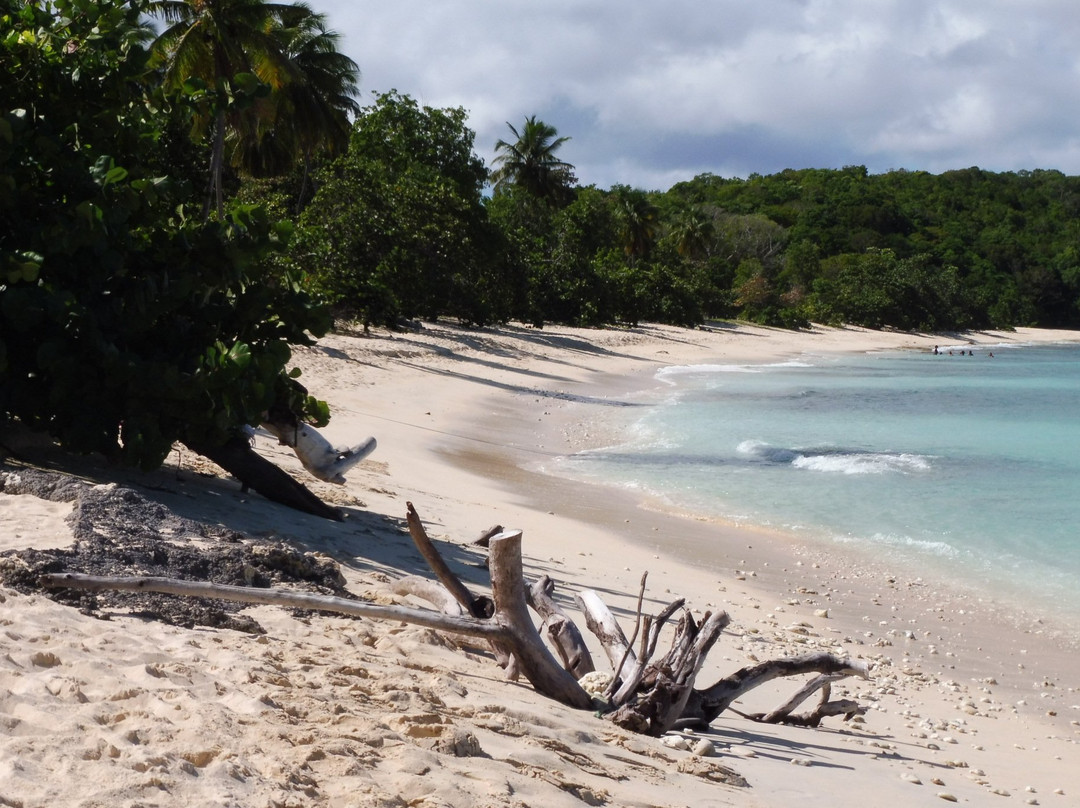 Coco Beach Resort主图