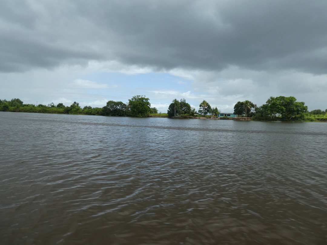 Orinoco River景点图片