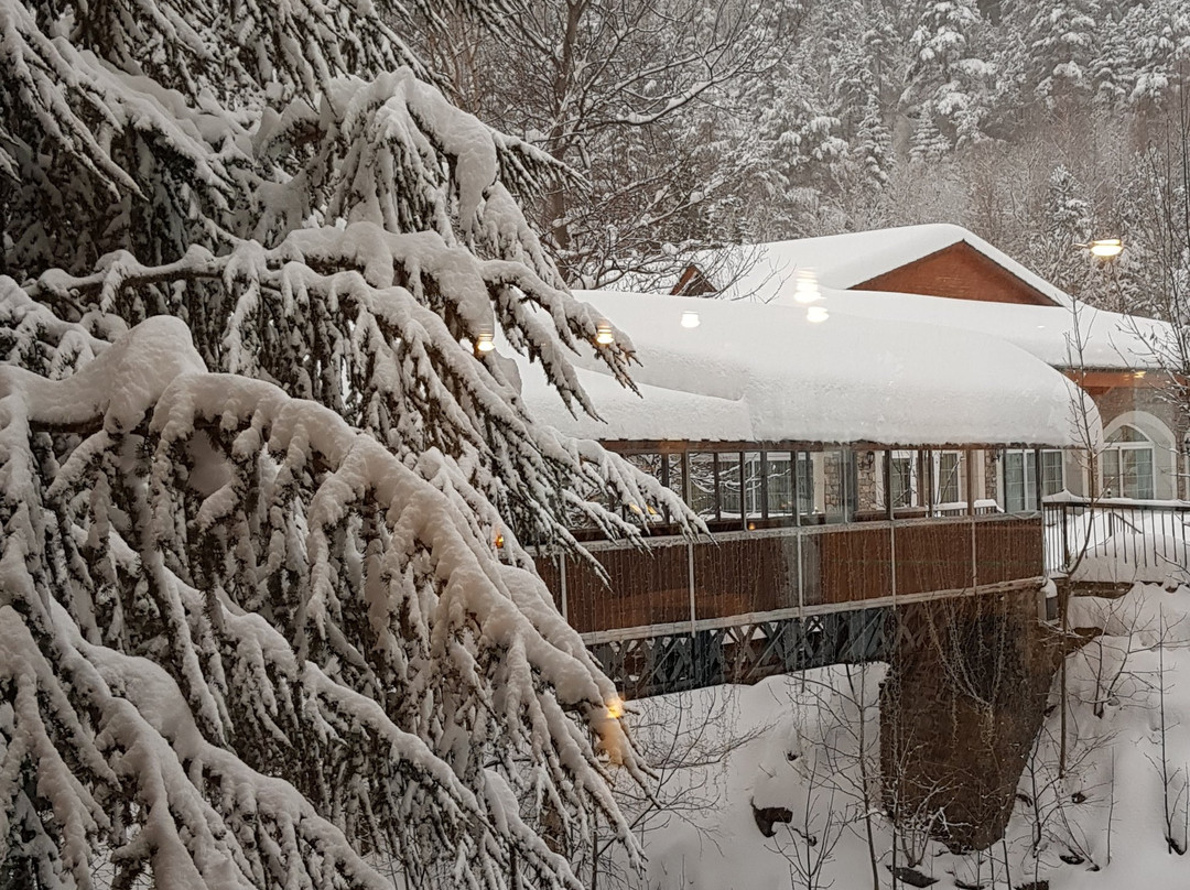 Hotel Sant Gothard主图