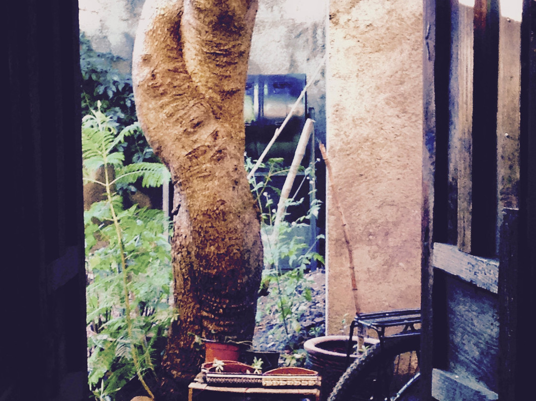 La Jacaranda Cultural Patzcuaro-Patzcuaro必去景点