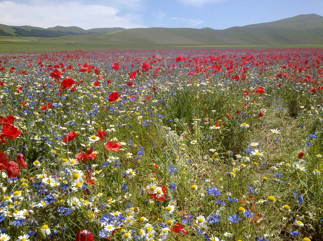 Umbria Outdoor景点图片