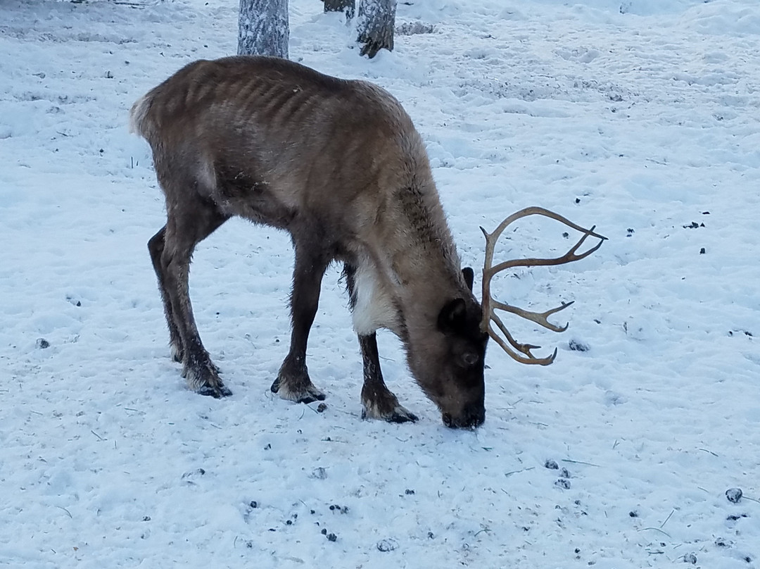 珍娜温泉度假村主图