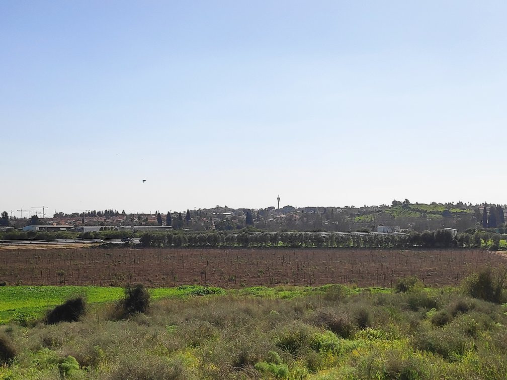 Farm on the Hill-Gedera必去景点