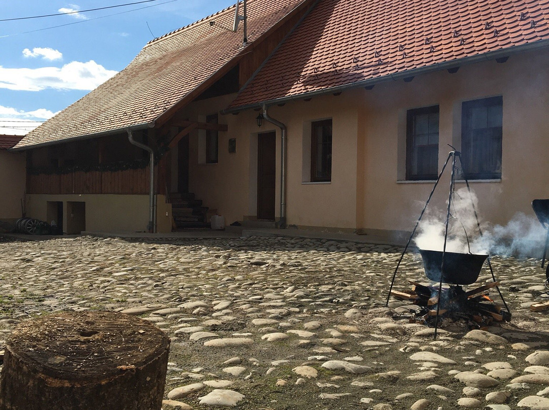 Casa Saseasca Saschiz主图
