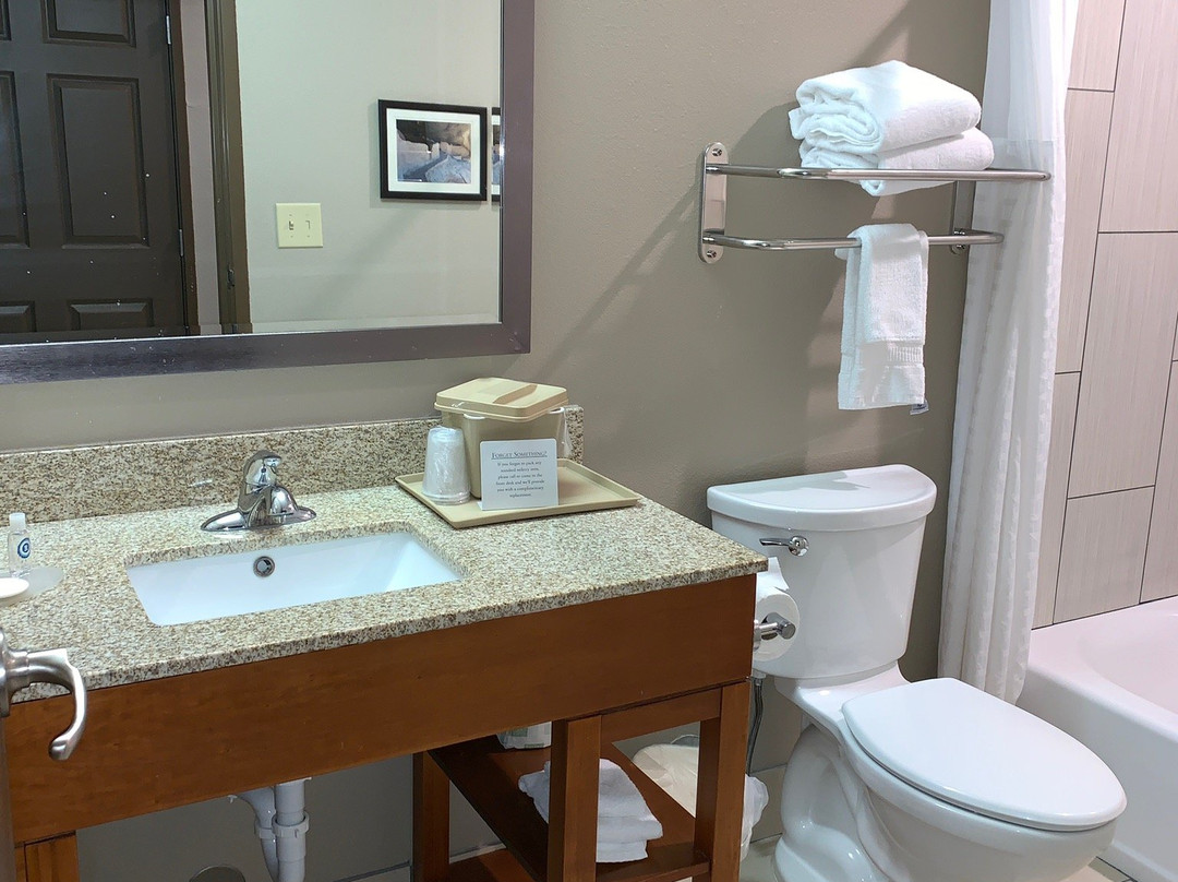 Comfort Inn & Suites Las Cruces Mesilla主图