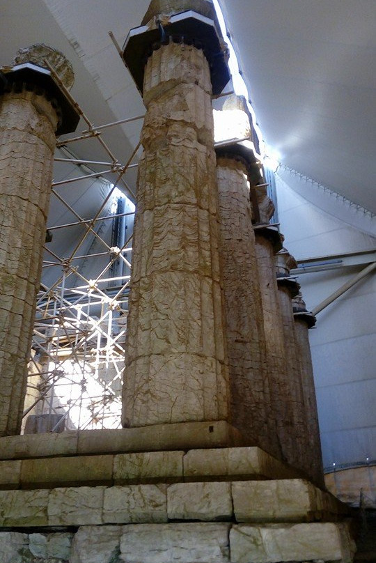Temple of Apollo Epikourios景点图片