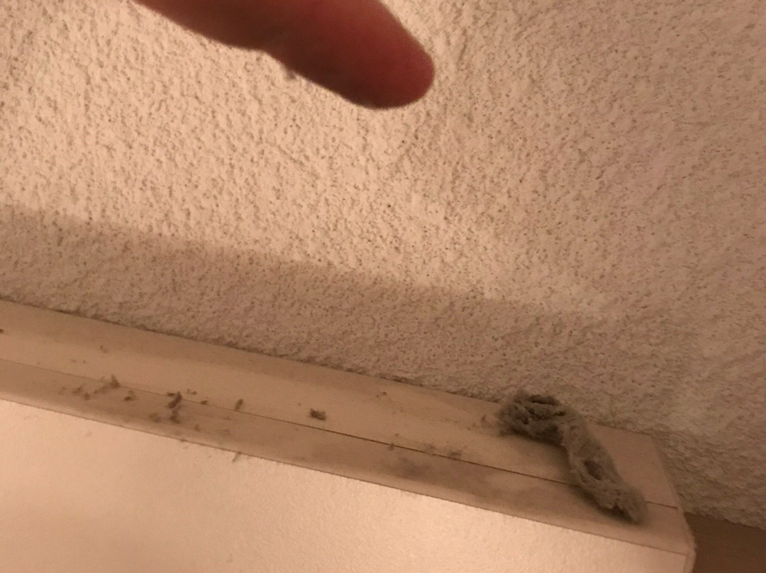 Kyriad Bordeaux Begles主图