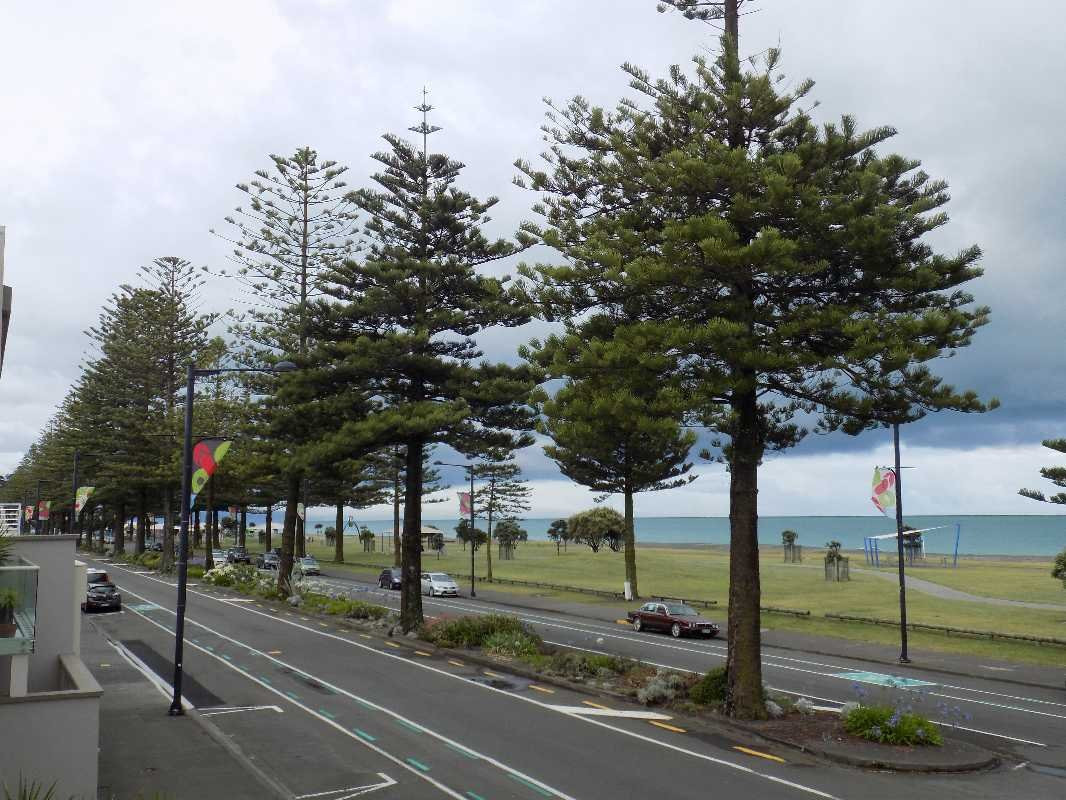 Pebble Beach Motor Inn主图