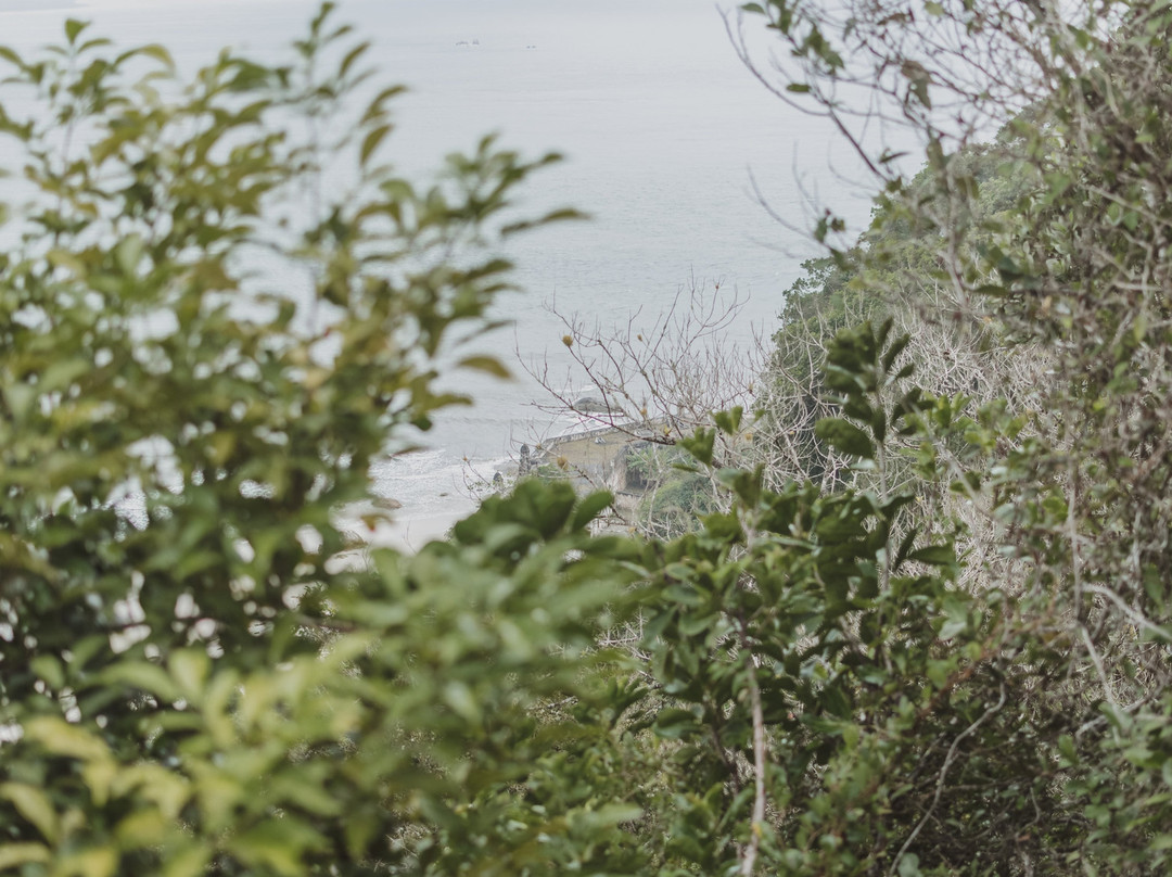 Morro da Baleia-Ilha do Mel必去景点