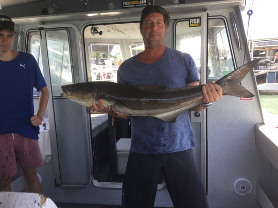 Fish Noosa-努萨维尔必去景点