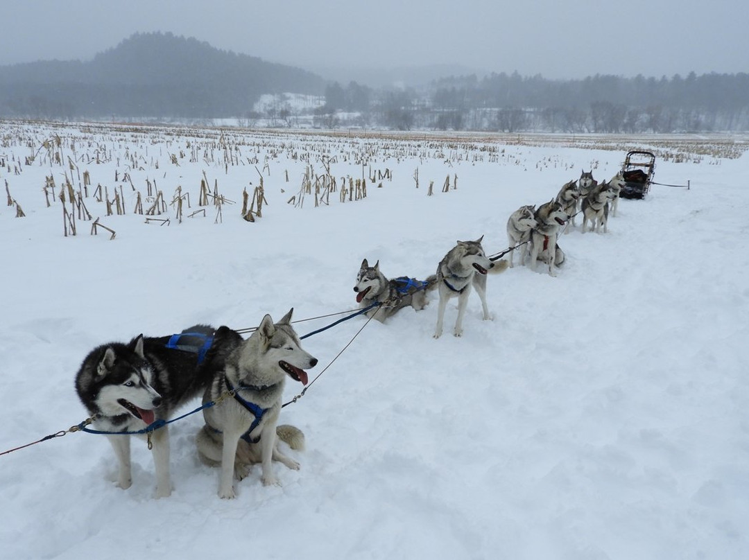 Braeburn Siberians-Windsor必去景点