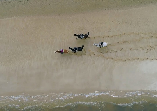 Entre Amigos Actividades Equestres-Alcacer do Sal必去景点