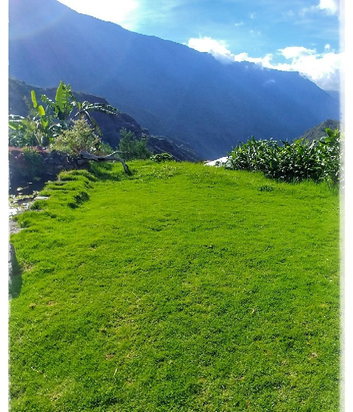 La Miellerie de Marla主图