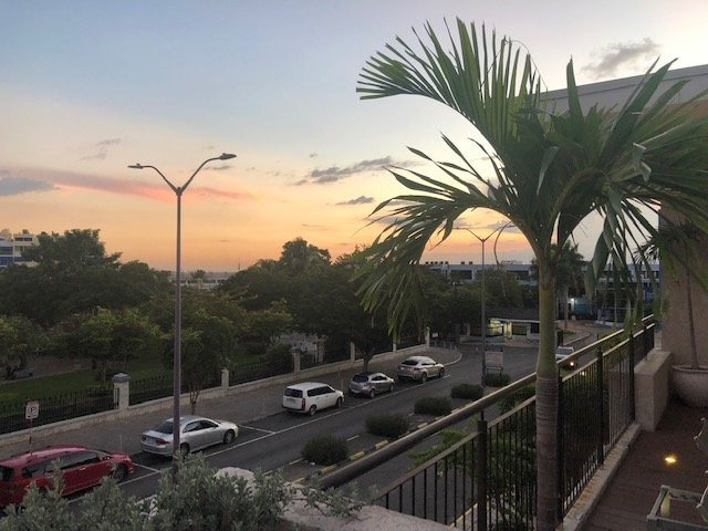 Courtyard by Marriott Kingston, Jamaica主图