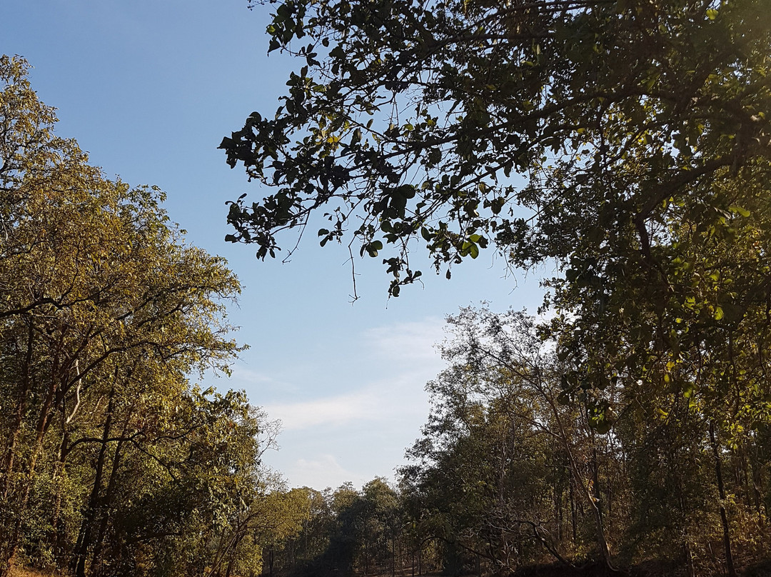 Tansa Lake景点图片