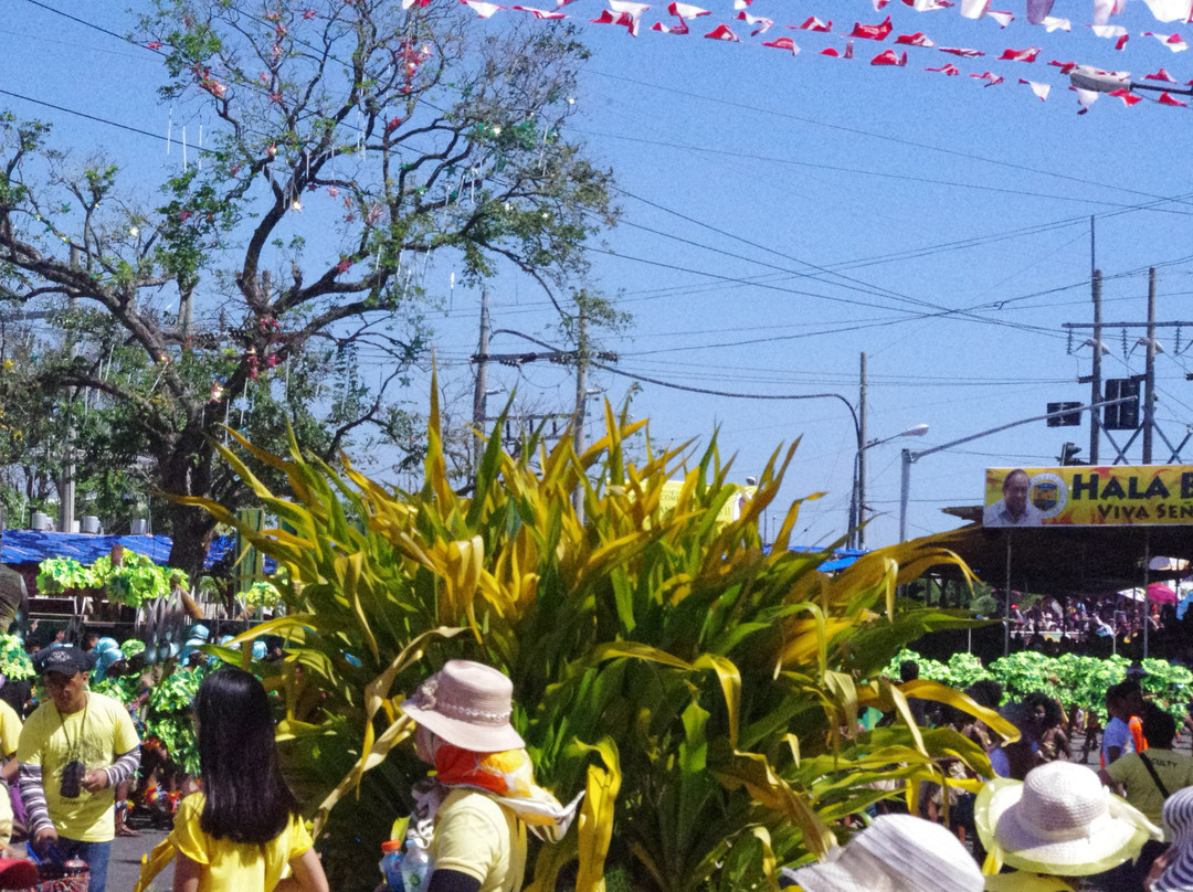 Dinagyang Festival景点图片