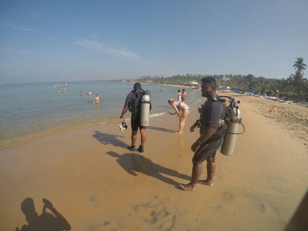 Bond Safari Scuba Diving景点图片