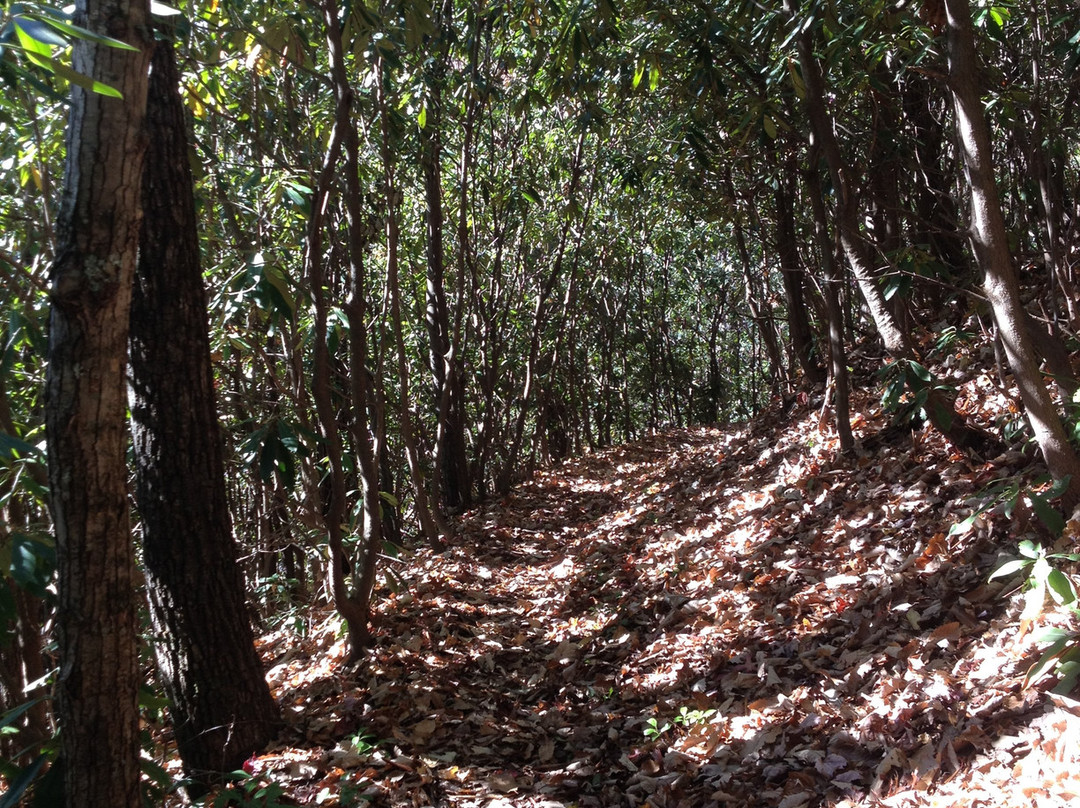 Sugarland Mountain Trail-大雾山国家公园必去景点
