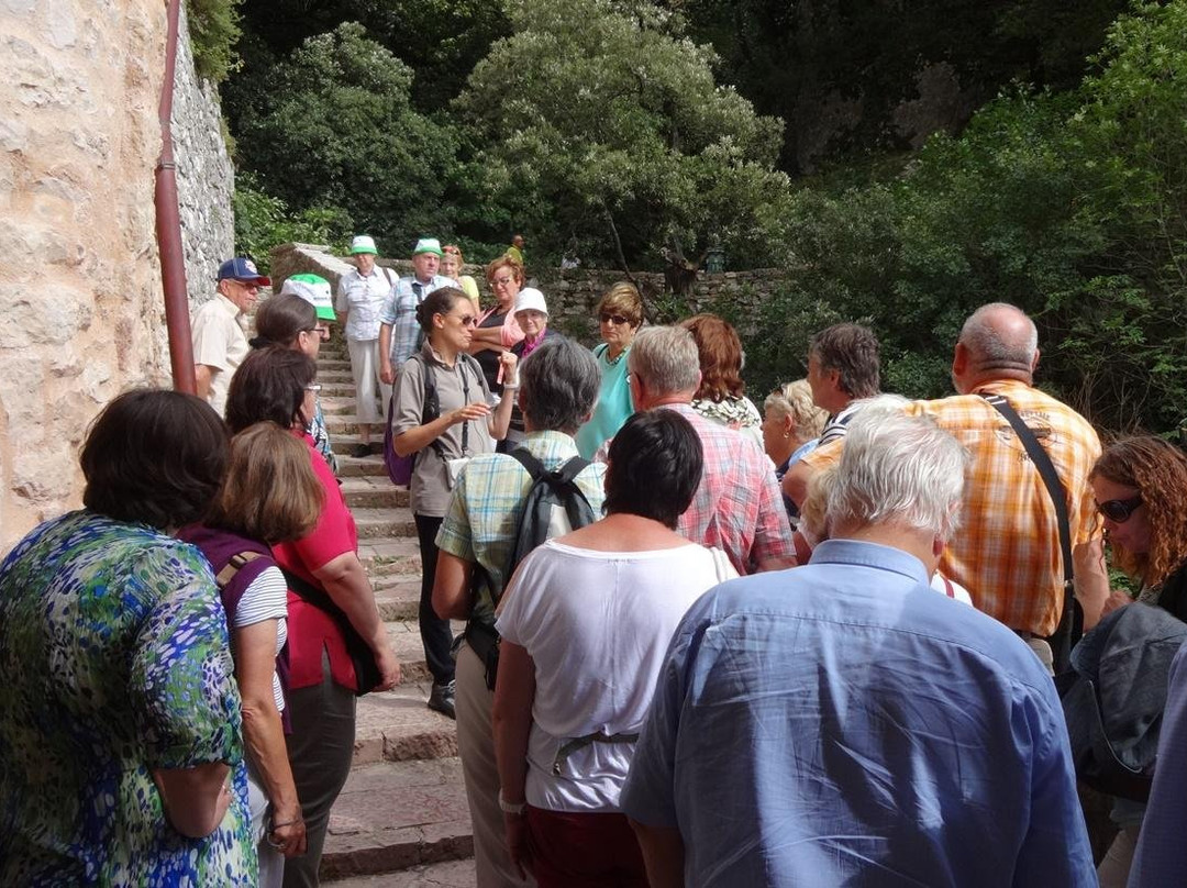 UMBRIA GUIDA TURISTICA ED ESCURSIONISTICA di MONIA MINCIARELLI-阿西西必去景点