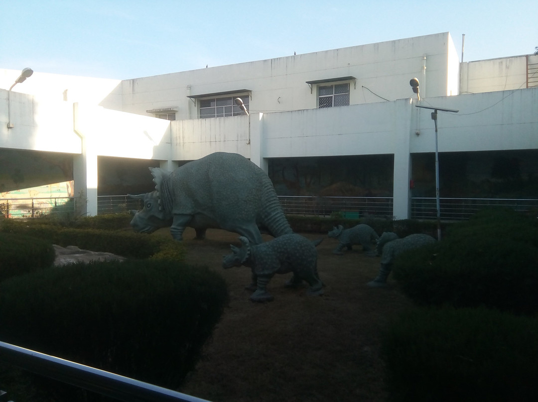 Regional Museum of Natural History景点图片