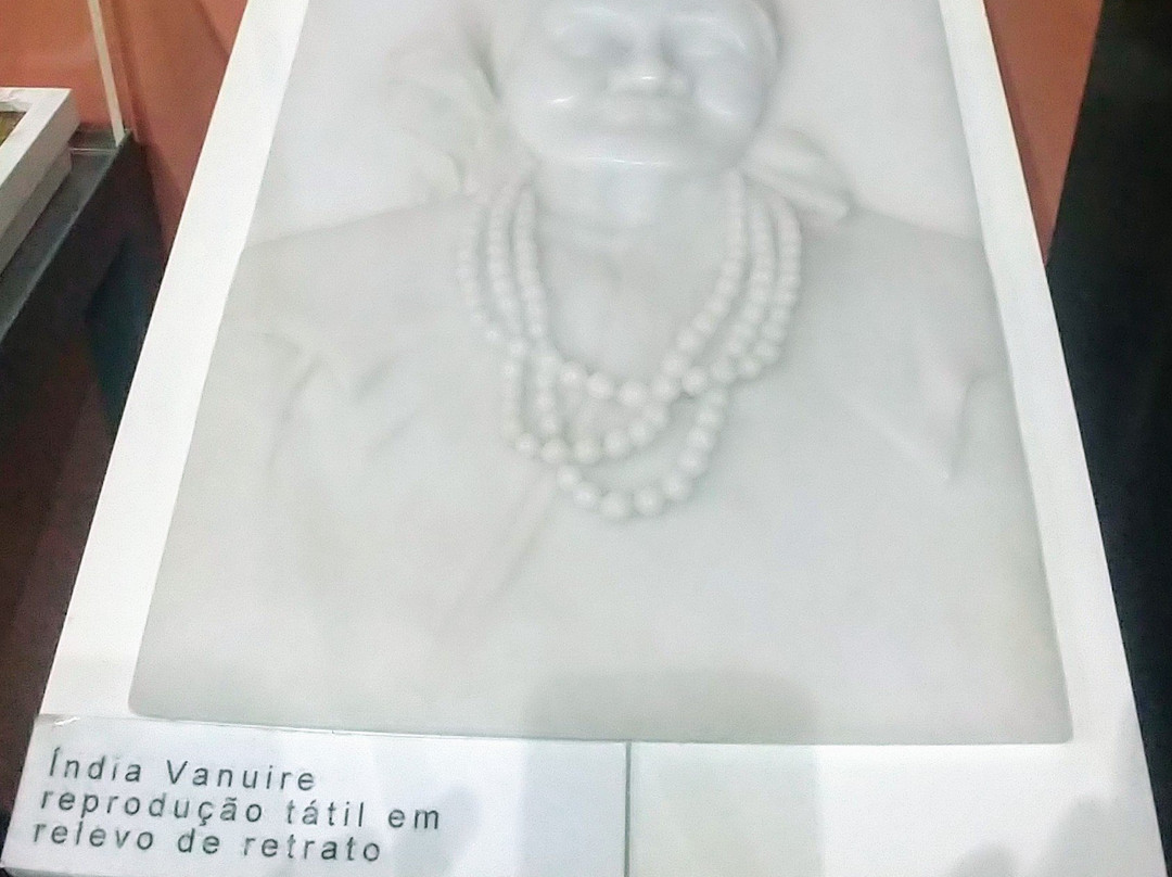 Museu Historico e Pedagogico India Vanuire景点图片
