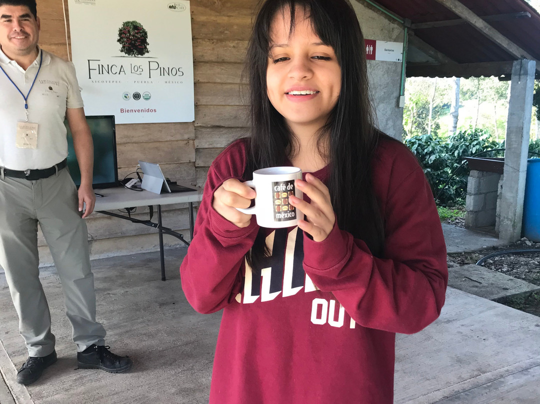 Finca Los Pinos景点图片