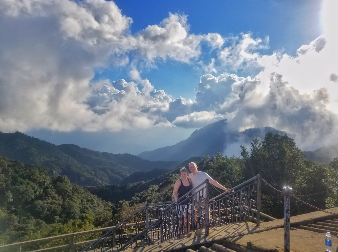 Golden Rice Tours-岘港必去景点