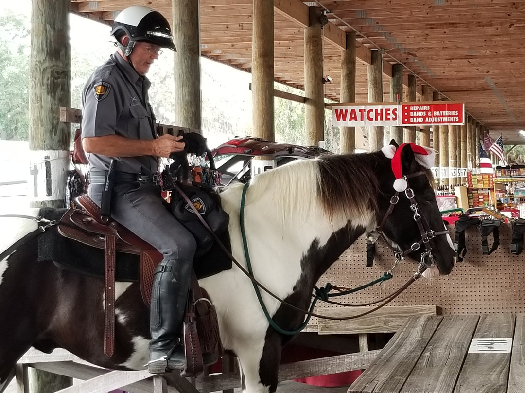 Webster Westside Flea Market-Webster必去景点