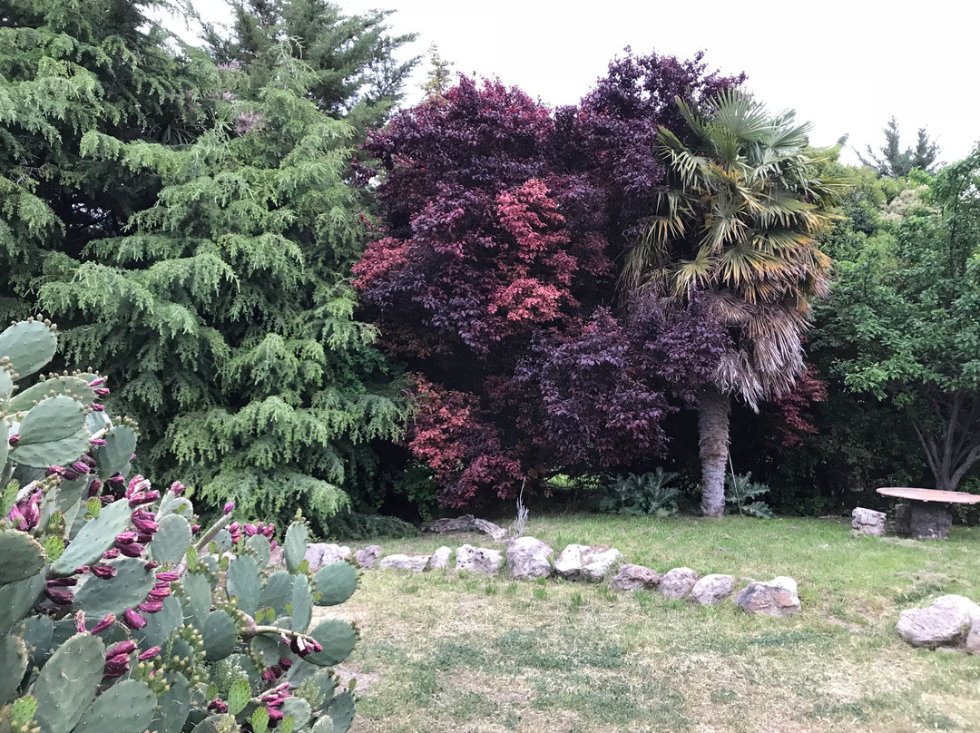 Posada Los Mimbres主图