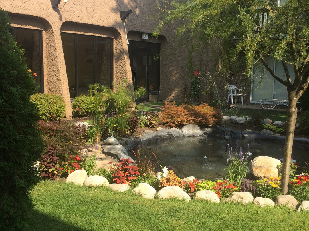 乡村绿色酒店主图