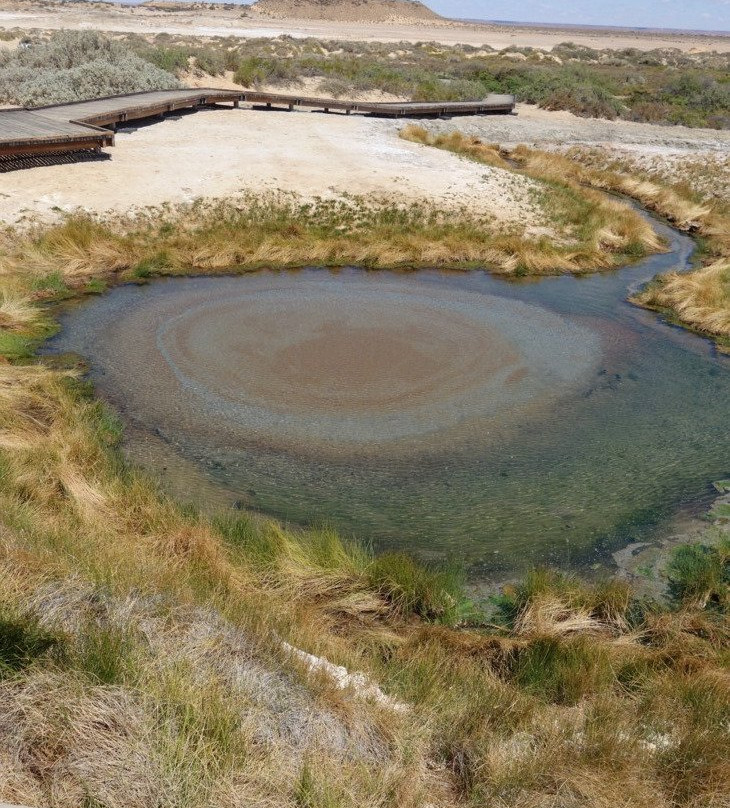 Wabma Kadarbu Mound Spring Conservation Park景点图片