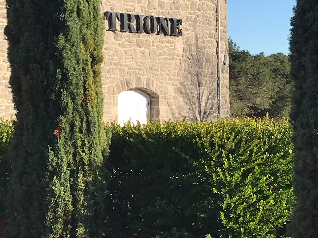 Trione Vineyards and Winery-Geyserville必去景点
