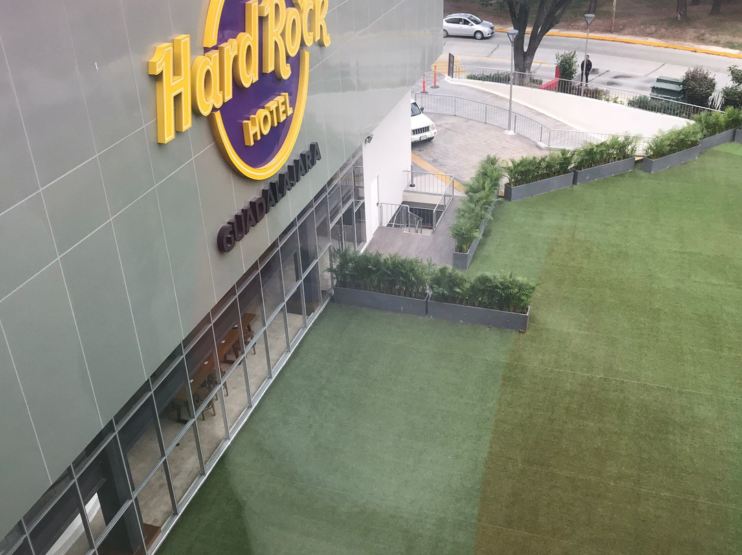 Hard Rock Hotel Guadalajara主图