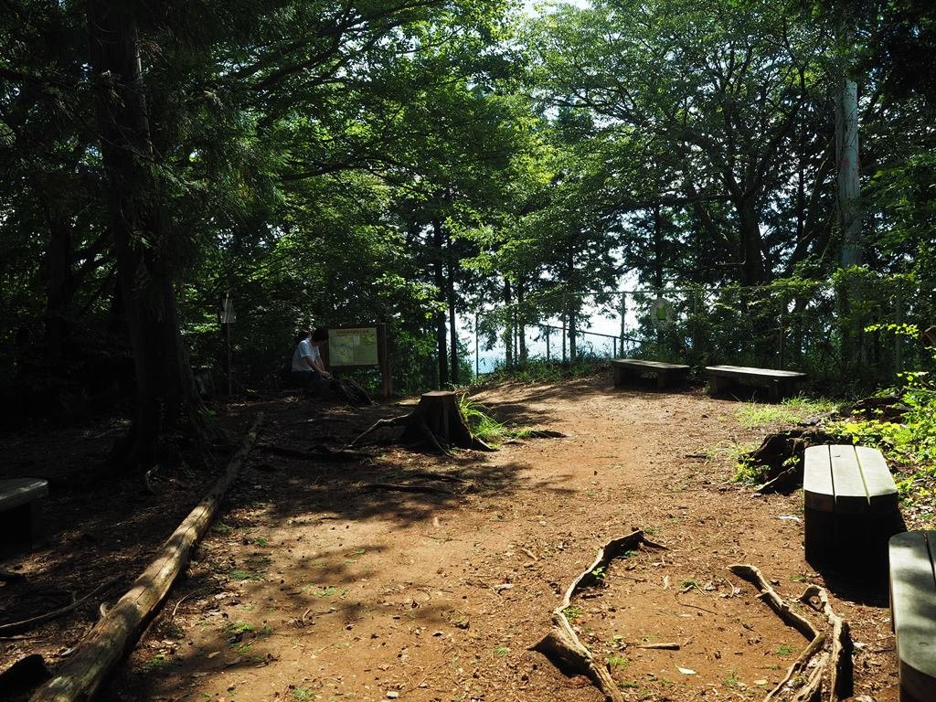 Mt. Takamizu-青梅市必去景点