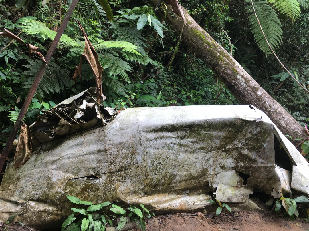 Gunung Berembun景点图片