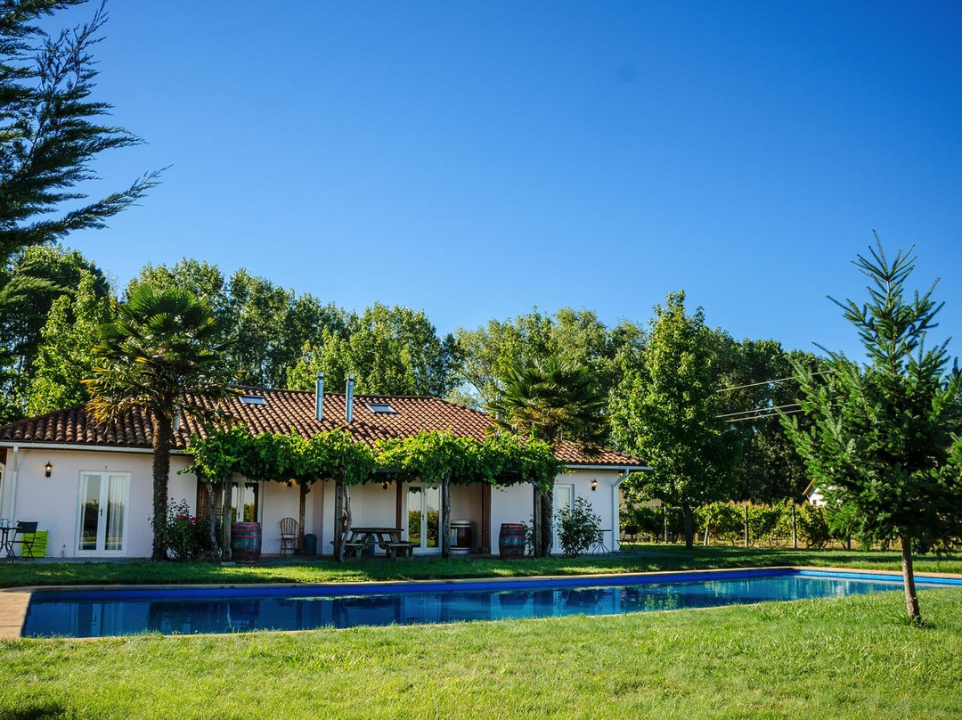 Hotel Viña Chillàn主图