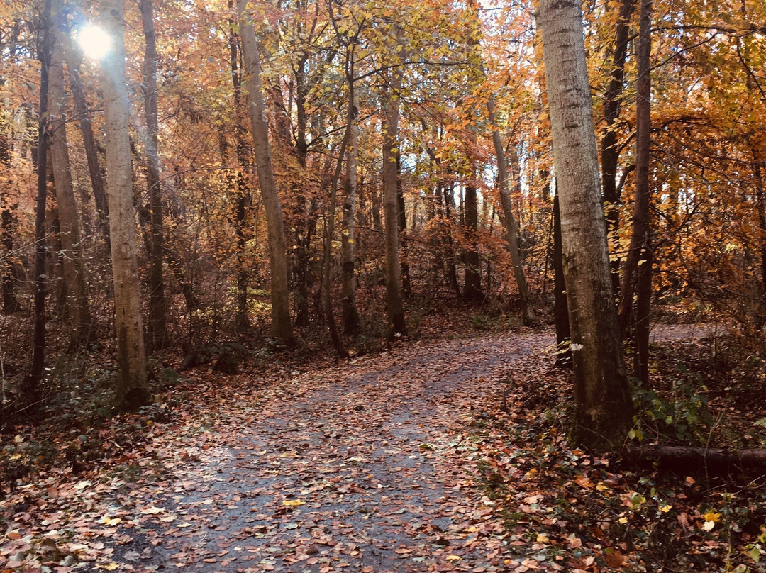 Loughgall Country Park景点图片