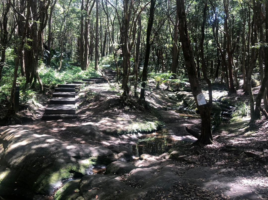 格尔锡保护区和巷湾丛林漫步景点图片
