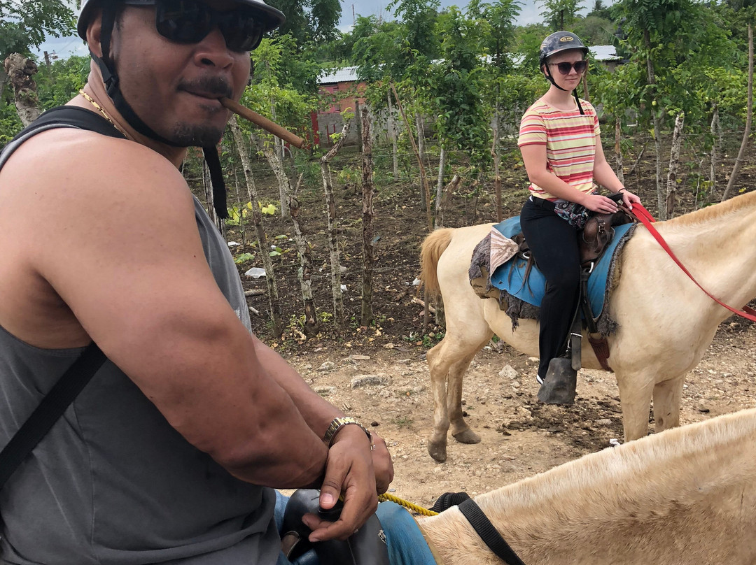 HorsePlay Punta Cana景点图片